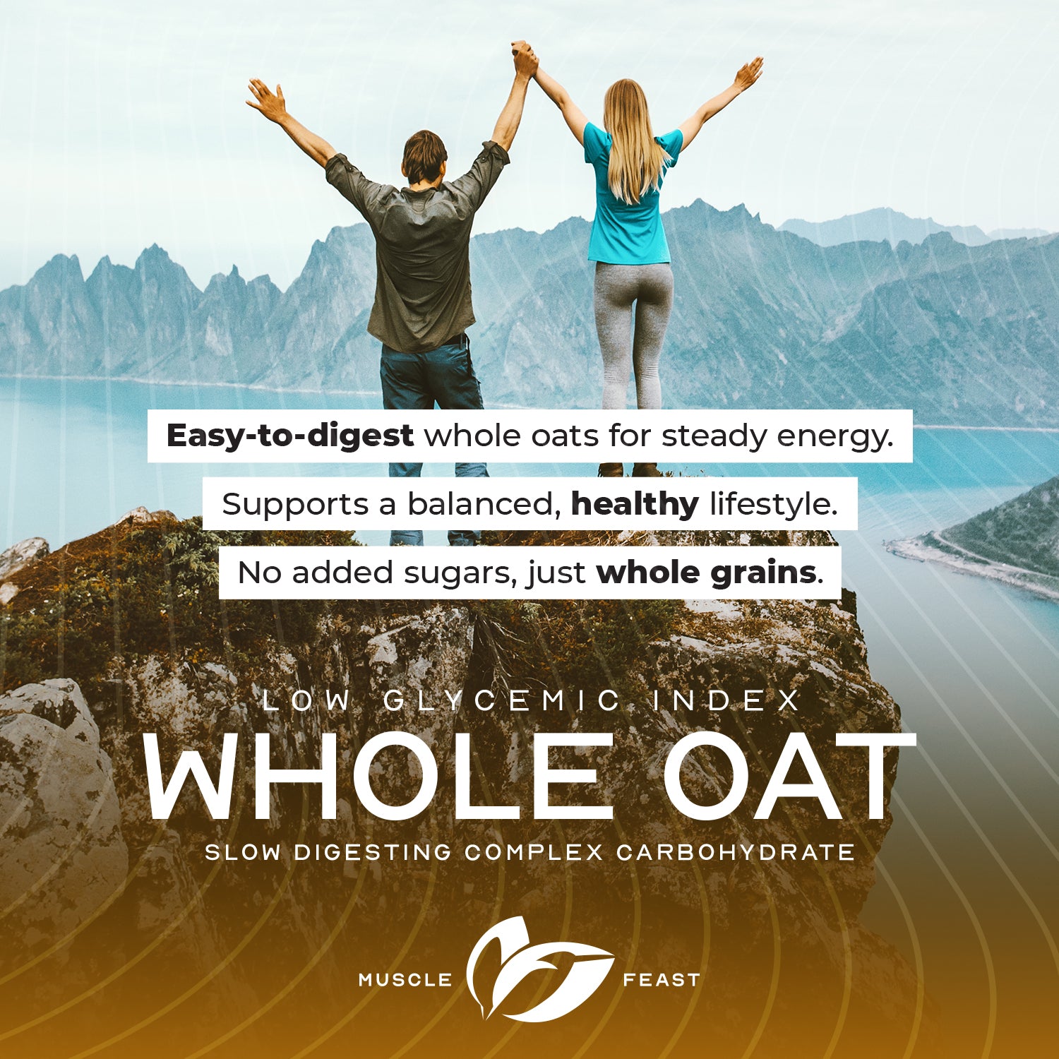 Whole Oat Powder All Natural Complex Carb Non-GMO