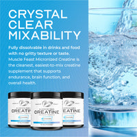 Creavitalis Creatine Micronized Monohydrate Powder Easy to Mix, Gluten-Free, 200g